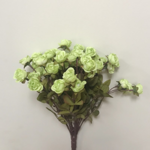 ROSE PEARL BUSH X18 H38 BU -light green*