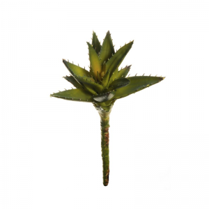 SUCCULENT H27 CM PG *