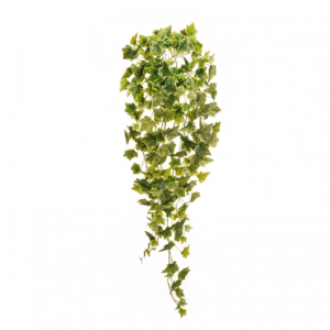 EDERA CADENTE H100 ED - variegato*