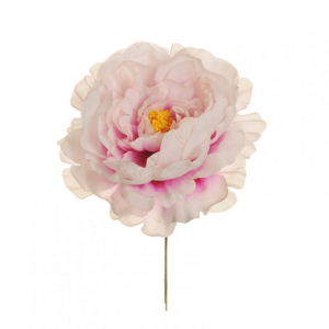 PEONIA TESTA H14,5 cm PE -white beauty *