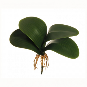 FOGLIE ORCHIDEA X4 29,5cm FO *