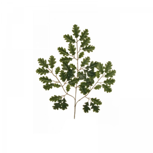 FOGLIA QUERCIA CM 56 FO -green *