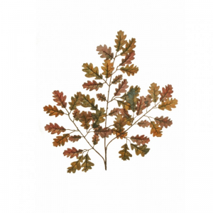 FOGLIA QUERCIA CM 56 FO - autumn *