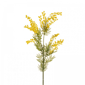MIMOSA X3 H85 CM MI - yellow *