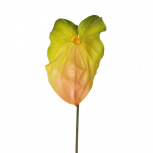ANTHURIUM H92 cm AN - green/salmon*