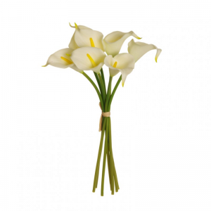 CALLA X7 H34cm - cream *