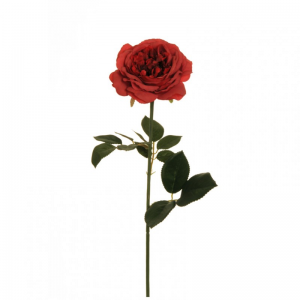 ROSA GARDEN H64 CM RO -rosso *