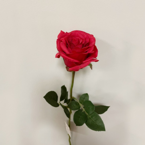 ROSA GRETA H64 CM RO -rosso *