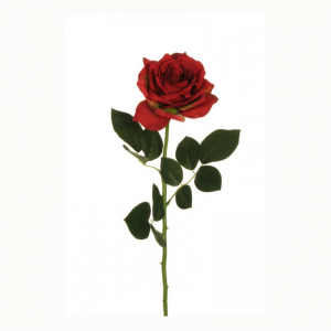 ROSA CHARLOTTE H75 CM RO -red  *