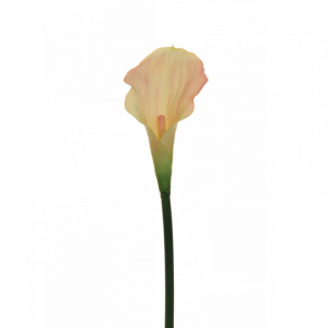 CALLA LILY H54 cm CA -ivory pink*