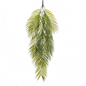 PALMA ARECA CADENTE X12CM97 BU green*