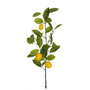 LIMONE RAMO X3 H76cm LI