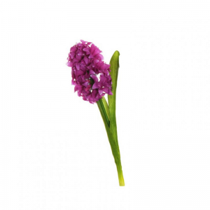 GIACINTO H32 GI - dark lilac*