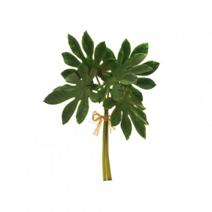 ARALIA mazzo X5 H44cm AR - green *