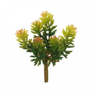 SUCCULENT X6 H17 PG - green*