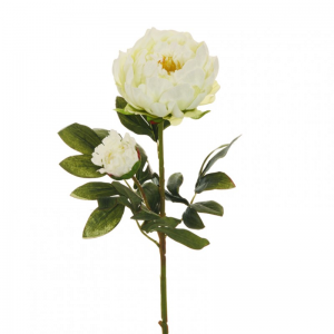 PEONIA X2 H66 cm PE -white *