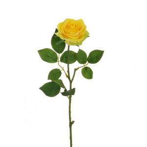 ROSA ECUADOR X1 H65 RO - giallo*