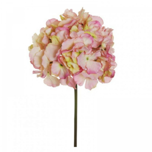 ORTENSIA H60 cm OR -pink*