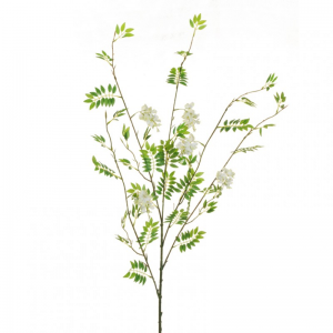 ACACIA SPRAY X5 CM107 AC *