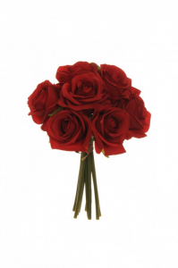 ROSE BUSH X9 25 cm RO- red *