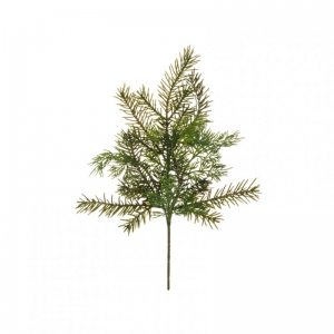 PINO CEDRO ramo PI - green*