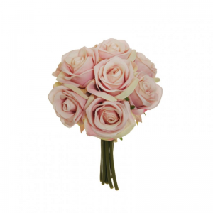 ROSE BUSH X9 25 cm RO - rosa *