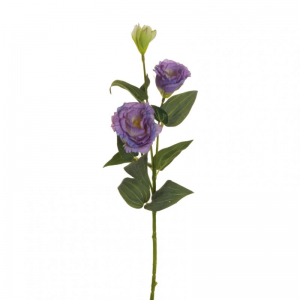 LISIANTHUS H71 cm LI - lavender *