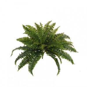 FELCE BUSH X36 H60 FE - green *