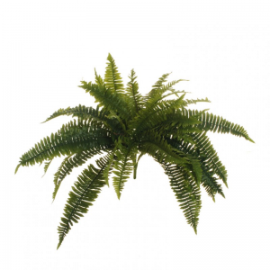 FELCE BUSH X42 H60 FE -green *