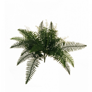 PIANTA FELCE BUSH X28 CM 48 FE *