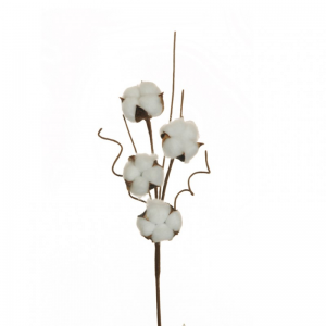 COTONE ramo X4 H43,5 CO - white *