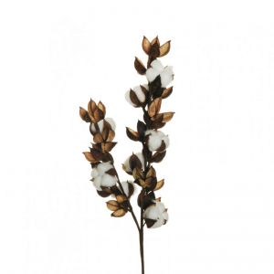 COTONE SPRAY H68 CO - white *