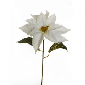 STELLA NATALE TESSUTO 76cm