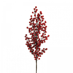 BACCHE ILEX H94 - light red *