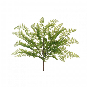 FELCE MAZZO X7 H46 FE - green *