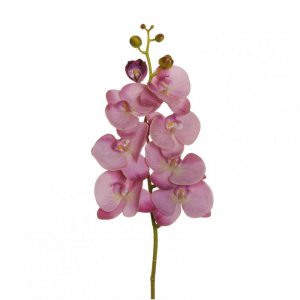 ORCHIDEA PHAL. H102 cm OR -mauve *
