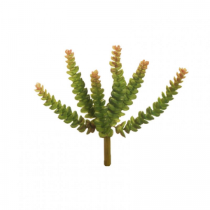 SUCCULENT X6 H20cm PG - green pink *