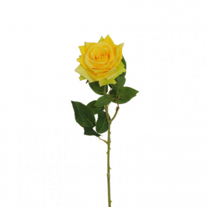 ROSA D11 H64 RO - yellow green *