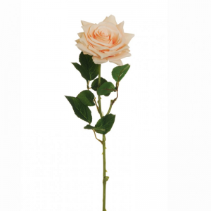ROSA OPEN D11 H64 RO - salmone *
