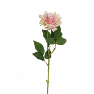 ROSA SINGOLA H64 CM RO-crema/rosa *