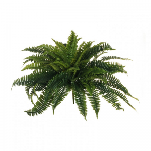 FELCE BUSH X56 H64 FE -green *