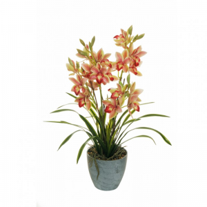 PIANTA ORCHIDEA 64cm OR -pink green *