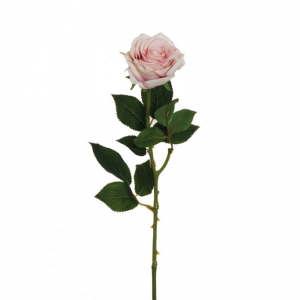ROSA ECUADOR X1 H65 RO-cream pink*