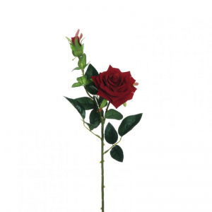 ROSA VELVET X2 H64 RO - red *