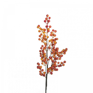 RAMO BACCA autumn H79 - orange*
