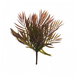 PALMA ARECA BUSH X5 CM43 BU -green pink*