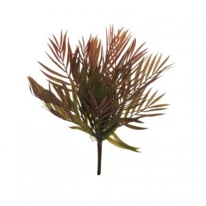 PALM ARECA BUSH X5 CM43 - BU5.15 *