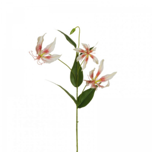 GLORIOSA real touch H78cm GL-creampink*