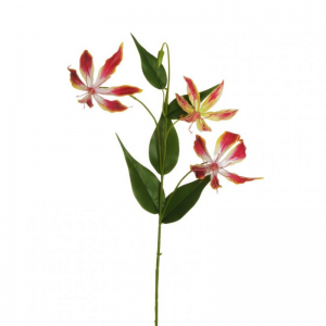 GLORIOSA real touch H78cm GL-redyellow*