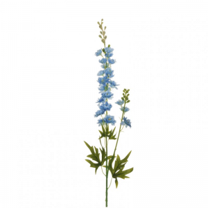 DELPHINIUM speronella X2 H87 DE-l.blue*
